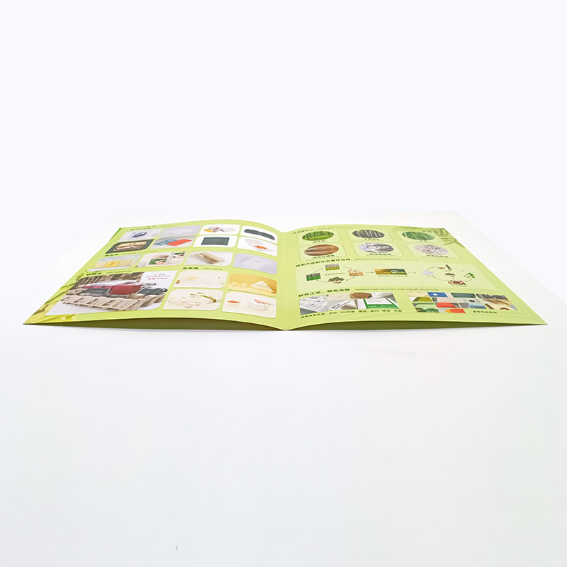 Custom Flyer Printing Service image 2